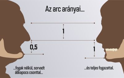 arc arányai