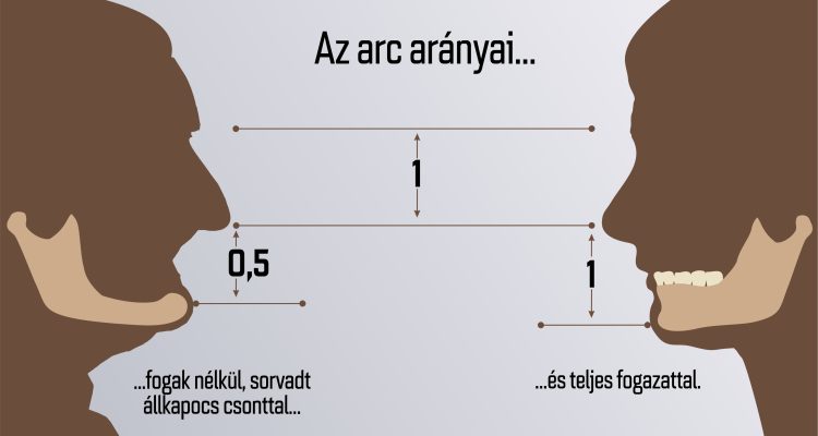 arc arányai