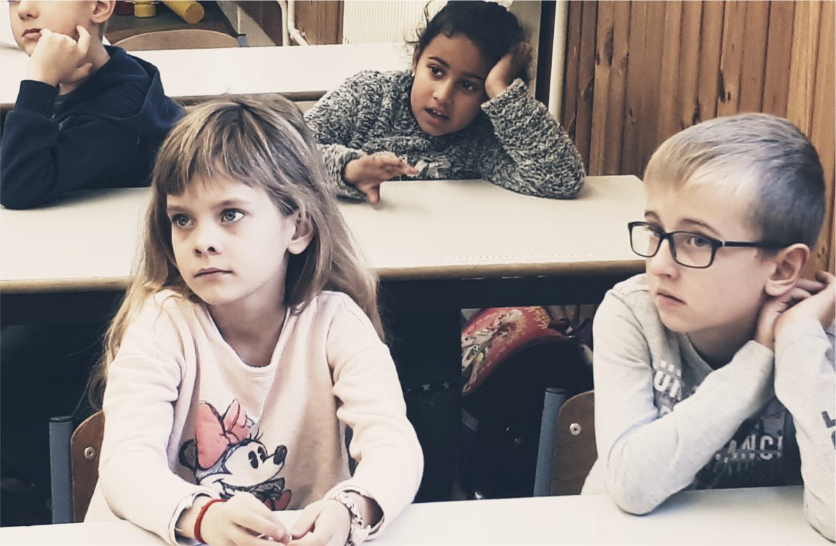 Fogtündér program