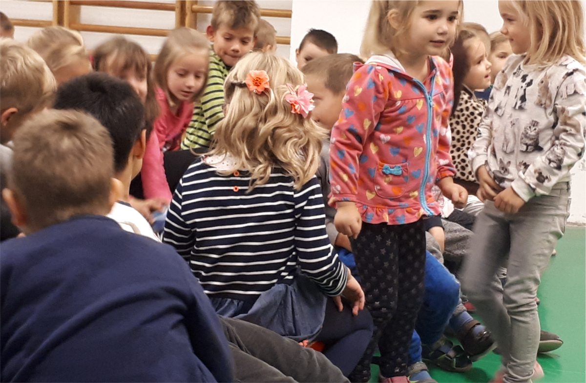 Fogtündér program