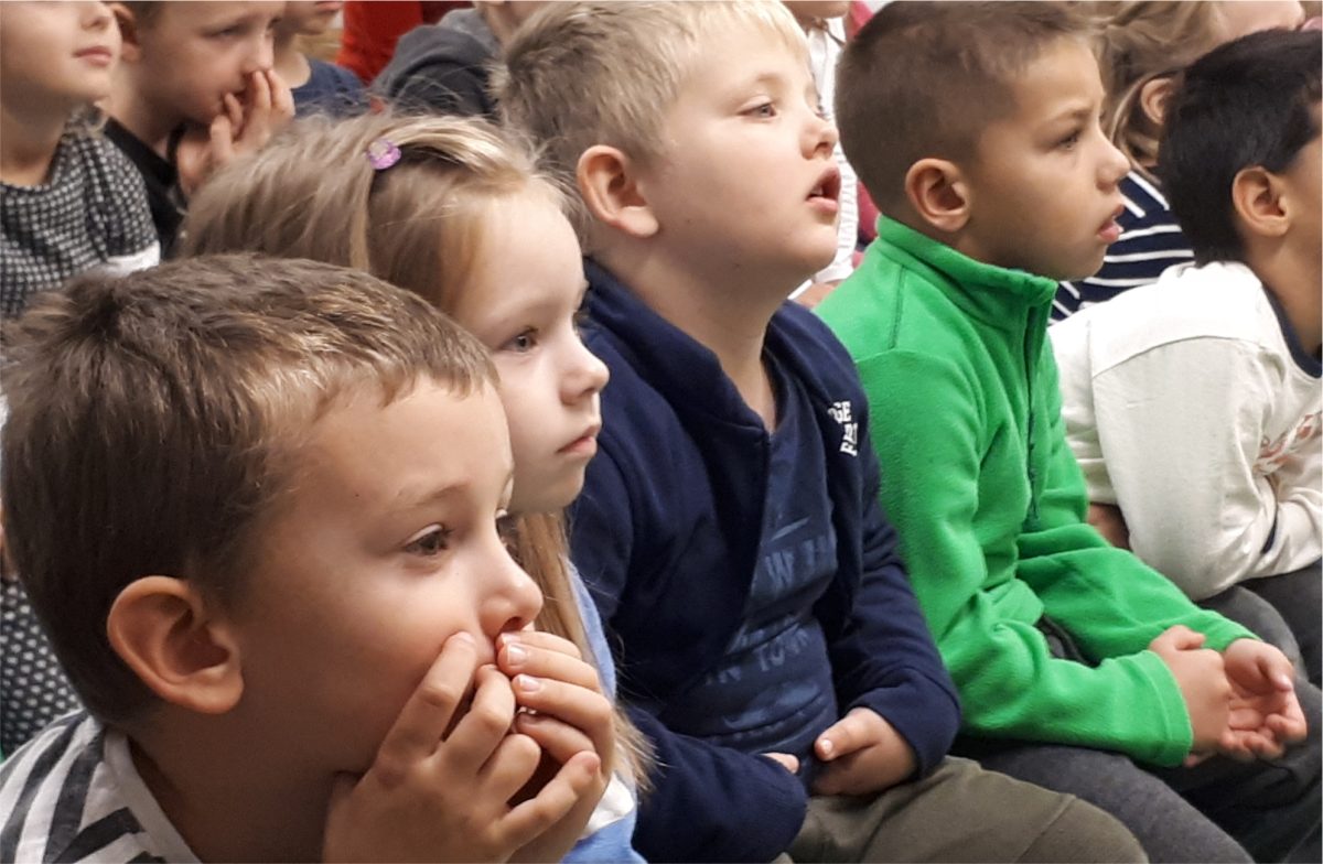 Fogtündér program